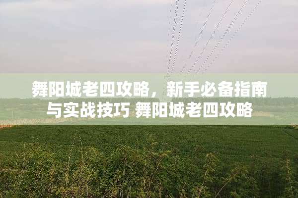 舞阳城老四攻略，新手必备指南与实战技巧 舞阳城老四攻略