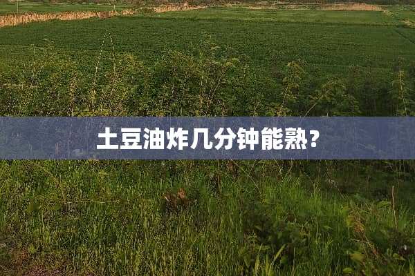 土豆油炸几分钟能熟？