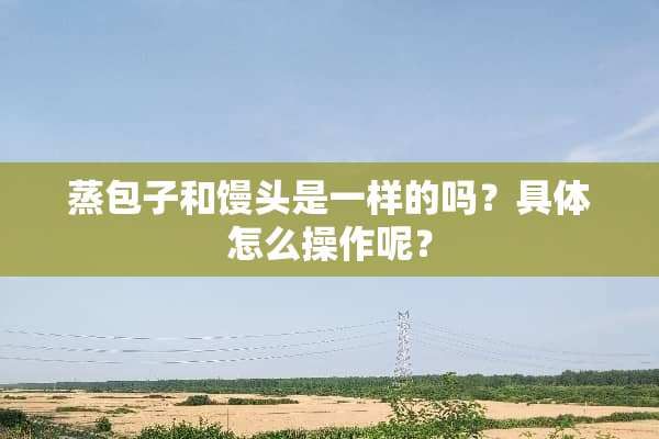 蒸包子和馒头是一样的吗？具体怎么操作呢？