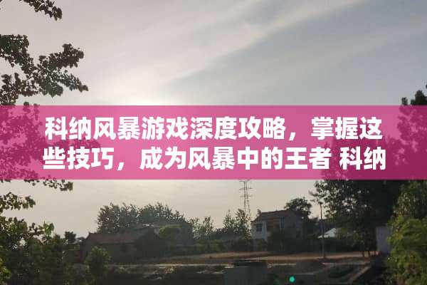 科纳风暴游戏深度攻略，掌握这些技巧，成为风暴中的王者 科纳风暴游戏攻略