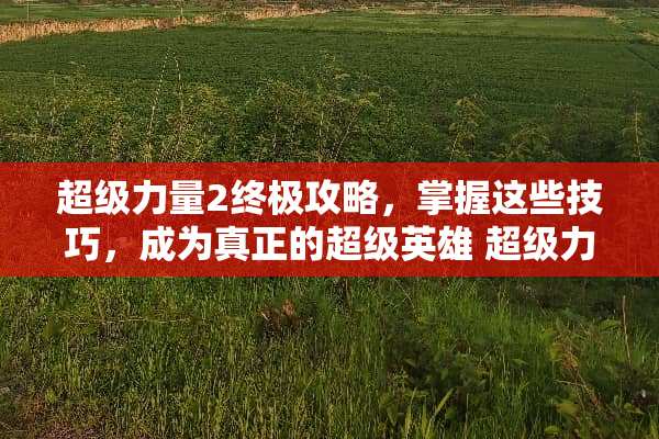 超级力量2终极攻略，掌握这些技巧，成为真正的超级英雄 超级力量2攻略