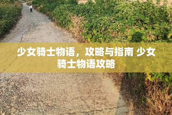 少女骑士物语，攻略与指南 少女骑士物语攻略