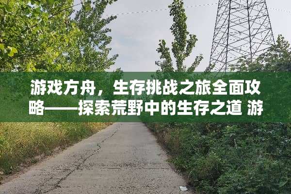 游戏方舟，生存挑战之旅全面攻略——探索荒野中的生存之道 游戏方舟生存攻略
