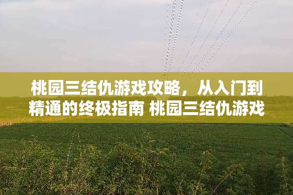 桃园三结仇游戏攻略，从入门到精通的终极指南 桃园三结仇游戏攻略27