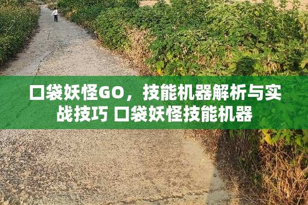 口袋妖怪GO，技能机器解析与实战技巧 口袋妖怪技能机器