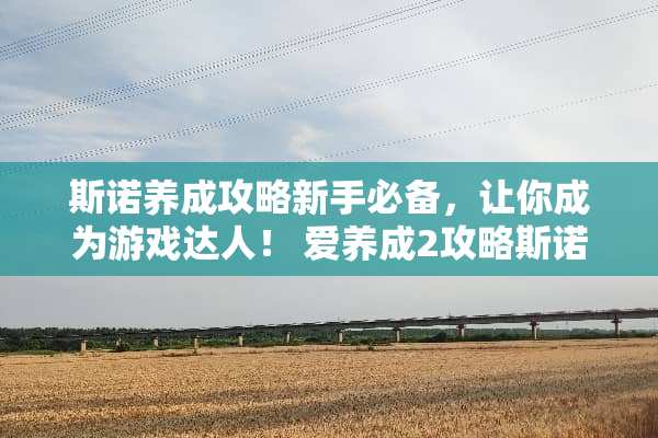 **养成攻略新手必备，让你成为游戏达人！ 爱养成2攻略**