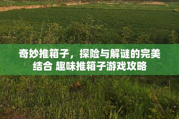 奇妙推箱子，探险与解谜的完美结合 趣味推箱子游戏攻略