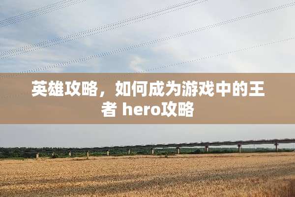 英雄攻略，如何成为游戏中的王者 hero攻略