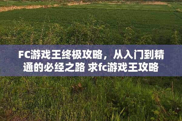 FC游戏王终极攻略，从入门到精通的必经之路 求fc游戏王攻略