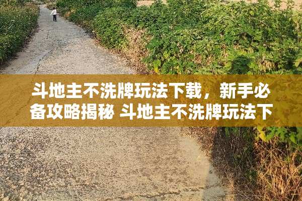 ***不洗牌玩法下载，新手必备攻略揭秘 ***不洗牌玩法下载