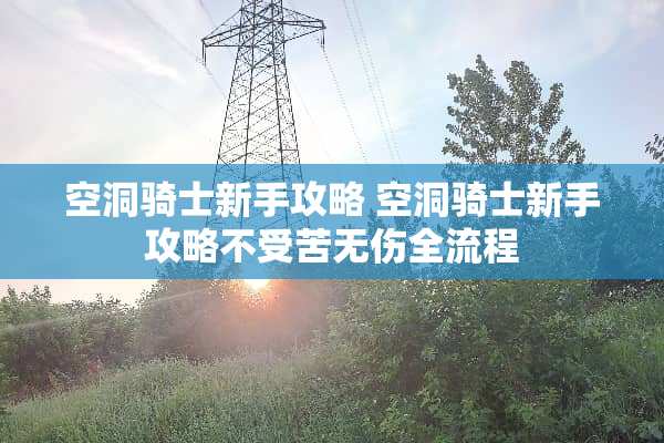 空洞骑士新手攻略 空洞骑士新手攻略不受苦无伤全流程