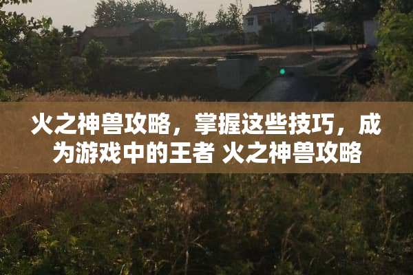 火之神兽攻略，掌握这些技巧，成为游戏中的王者 火之神兽攻略