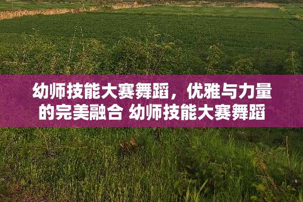 幼师技能大赛舞蹈，优雅与力量的完美融合 幼师技能大赛舞蹈