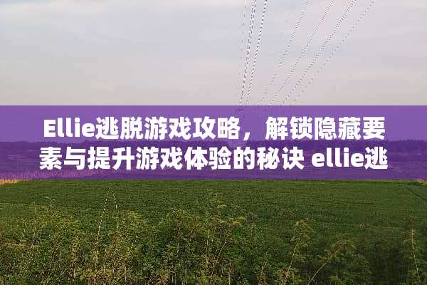 Ellie逃脱游戏攻略，解锁隐藏要素与提升游戏体验的秘诀 ellie逃脱游戏攻略