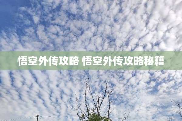 悟空外传攻略 悟空外传攻略秘籍