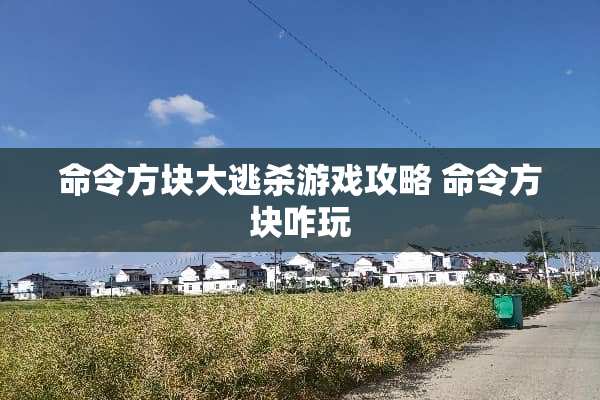 命令方块大逃杀游戏攻略 命令方块咋玩