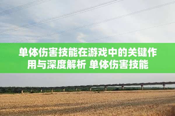 单体伤害技能在游戏中的关键作用与深度解析 单体伤害技能