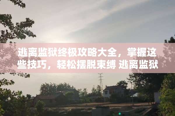 逃离监狱终极攻略大全，掌握这些技巧，轻松摆脱束缚 逃离监狱攻略大全