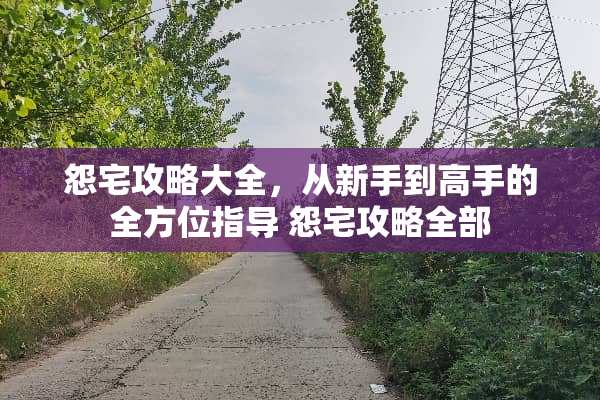 怨宅攻略大全，从新手到高手的全方位指导 怨宅攻略全部