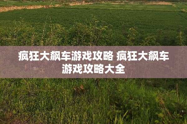 疯狂大飙车游戏攻略 疯狂大飙车游戏攻略大全