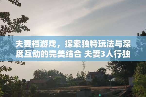 夫妻档游戏，探索独特玩法与深度互动的完美结合 夫妻3人行独特玩法