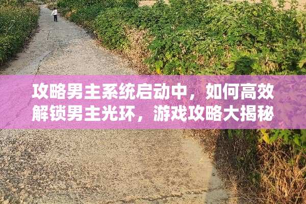 攻略男主系统启动中，如何高效解锁男主光环，游戏攻略大揭秘！ 攻略男主系统启动中
