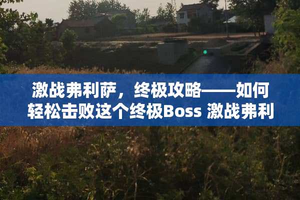 激战弗利萨，终极攻略——如何轻松击败这个终极Boss 激战弗利萨攻略