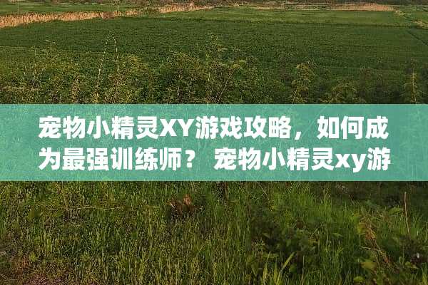 宠物小精灵XY游戏攻略，如何成为最强训练师？ 宠物小精灵xy游戏攻略