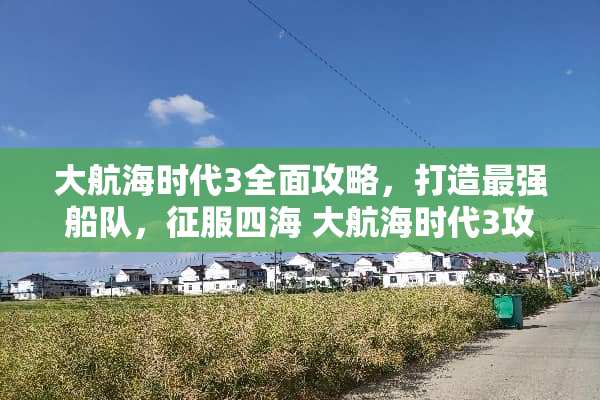 大航海时代3全面攻略，打造最强船队，征服四海 大航海时代3攻略