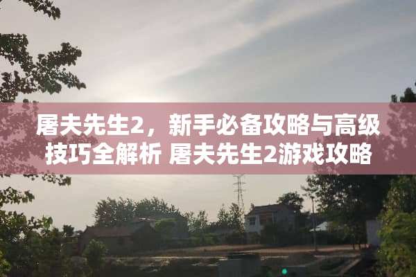 屠夫先生2，新手必备攻略与高级技巧全解析 屠夫先生2游戏攻略