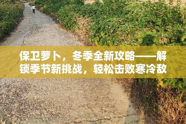 保卫萝卜，冬季全新攻略——解锁季节新挑战，轻松击败寒冷敌人！ 保卫萝卜冬季攻略