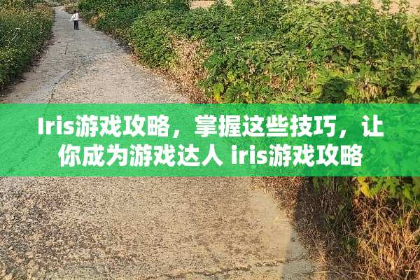 Iris游戏攻略，掌握这些技巧，让你成为游戏达人 iris游戏攻略