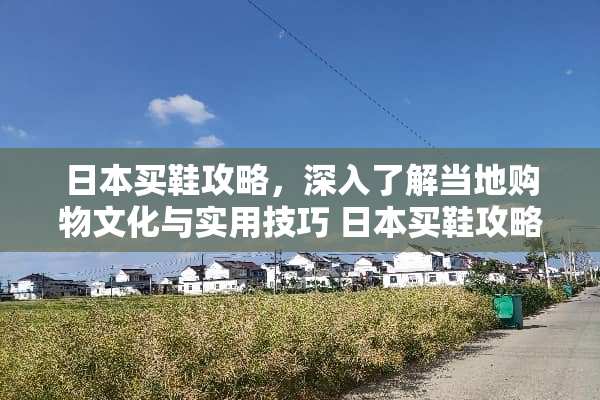 日本买鞋攻略，深入了解当地购物文化与实用技巧 日本买鞋攻略