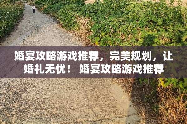 婚宴攻略游戏推荐，完美规划，让婚礼无忧！ 婚宴攻略游戏推荐