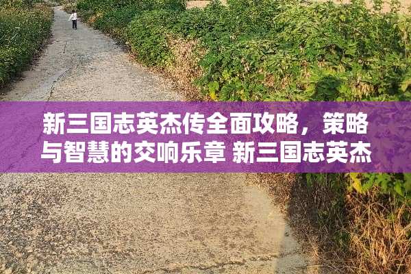 新三国志英杰传全面攻略，策略与智慧的交响乐章 新三国志英杰传攻略