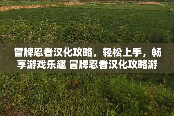 冒牌忍者汉化攻略，轻松上手，畅享游戏乐趣 冒牌忍者汉化攻略游戏