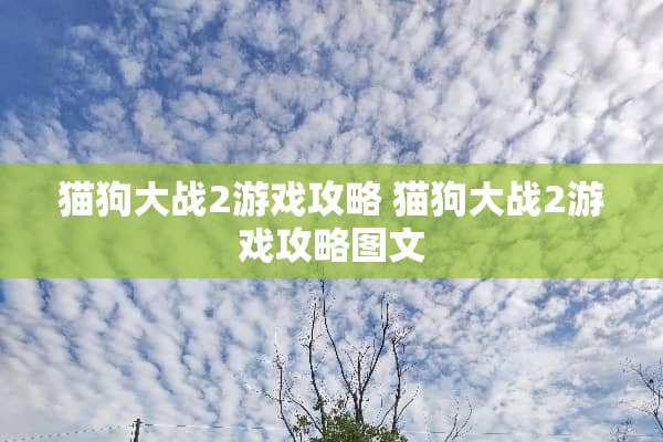 猫狗大战2游戏攻略 猫狗大战2游戏攻略图文