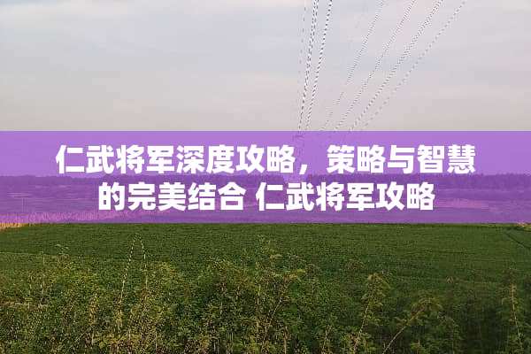 仁武将军深度攻略，策略与智慧的完美结合 仁武将军攻略