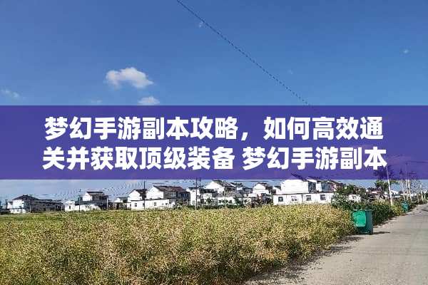 梦幻手游副本攻略，如何高效通关并获取**装备 梦幻手游副本攻略