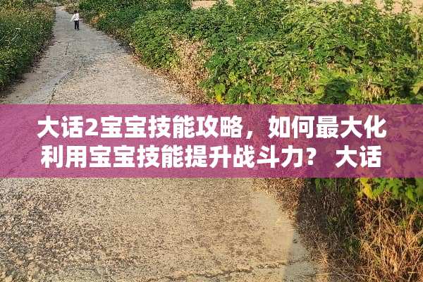 大话2宝宝技能攻略，如何最大化利用宝宝技能提升战斗力？ 大话2宝宝技能