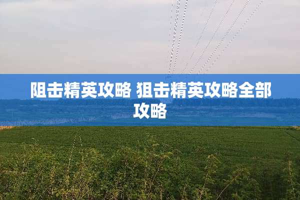 阻击精英攻略 **精英攻略全部攻略
