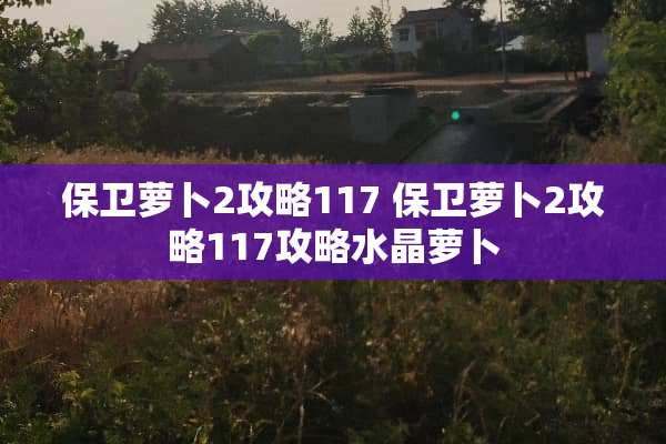 保卫萝卜2攻略117 保卫萝卜2攻略117攻略水晶萝卜