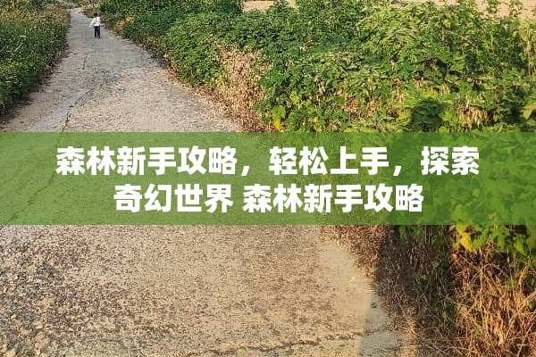 森林新手攻略，轻松上手，探索奇幻世界 森林新手攻略