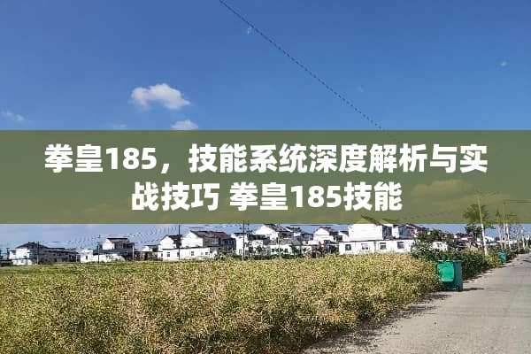 拳皇185，技能系统深度解析与实战技巧 拳皇185技能