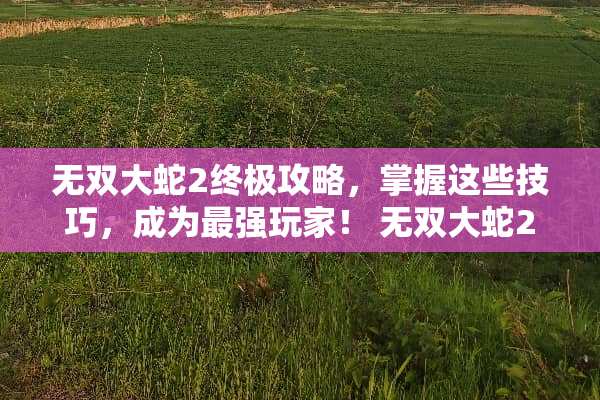 无双大蛇2终极攻略，掌握这些技巧，成为最强玩家！ 无双大蛇2攻略