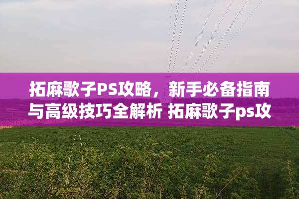 拓麻歌子PS攻略，新手必备指南与高级技巧全解析 拓麻歌子ps攻略
