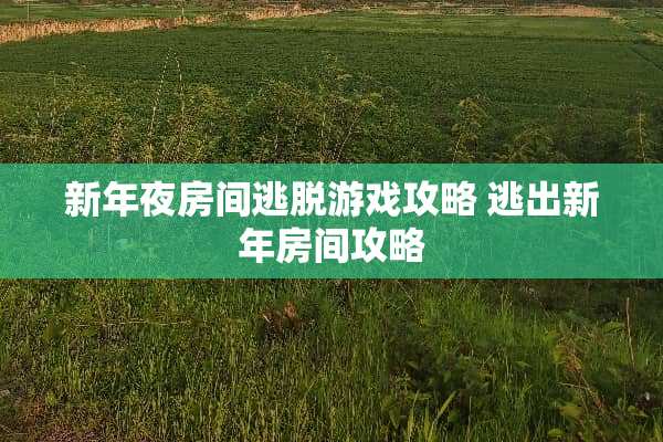 新年夜房间逃脱游戏攻略 逃出新年房间攻略
