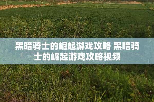 黑暗骑士的崛起游戏攻略 黑暗骑士的崛起游戏攻略视频