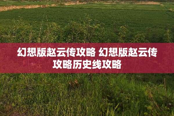 幻想版赵云传攻略 幻想版赵云传攻略历史线攻略