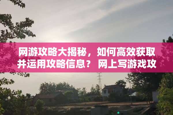 网游攻略大揭秘，如何高效获取并运用攻略信息？ 网上写游戏攻略